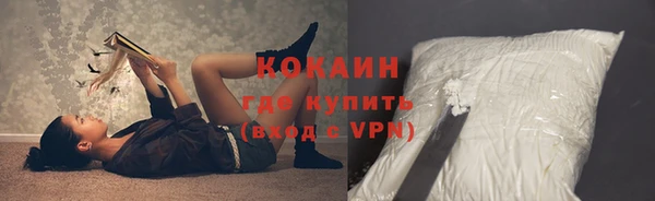 индика Балабаново