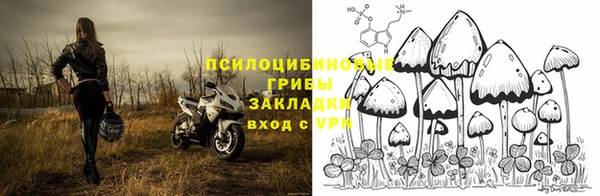 индика Балабаново